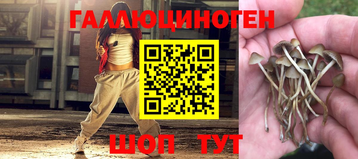 Галлюциногенные грибы мухоморы  Вход с VPN  Выкса 